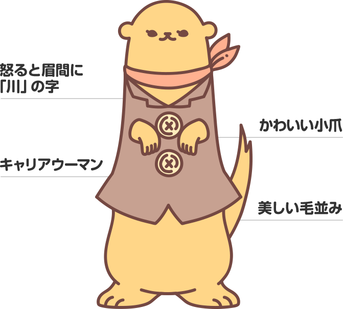 カワウソ先輩の紹介｜プリミィ
